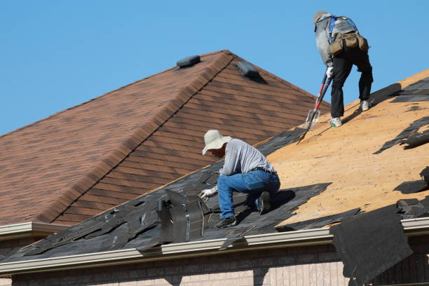 Best Roof Insulation Installation  in Evergreen, CO