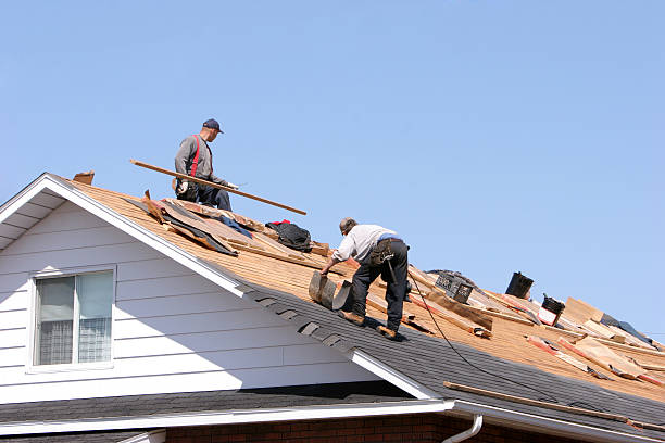 Best Roof Moss and Algae Removal  in Evergreen, CO